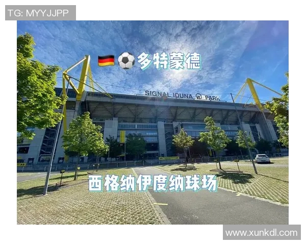 多特蒙德新星崛起:球场上的未来之星与传奇的交织 多特蒙德新星崛起:球场上的未来之星与传奇的交织